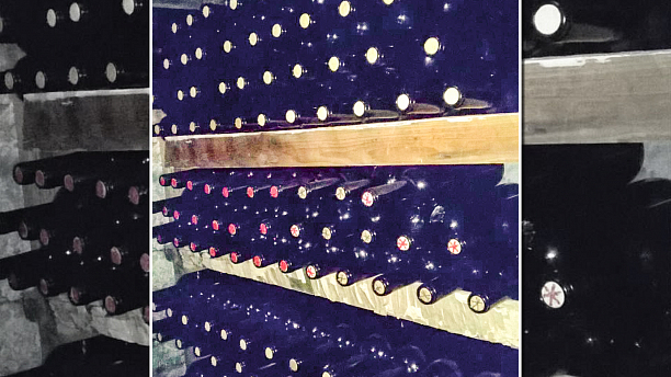 Фото 2 - Выращивание винограда и производство вина